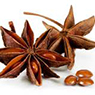 Anise Seed Extract