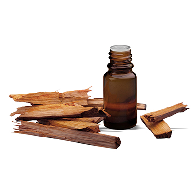 Sandalwood Essential Oil