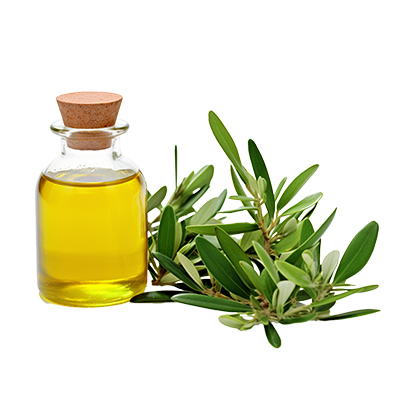 Tea Tree Extract