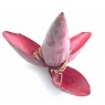 Red Banana Flower Extract