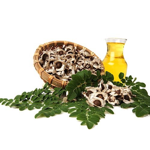 Fermented Moringa Oil